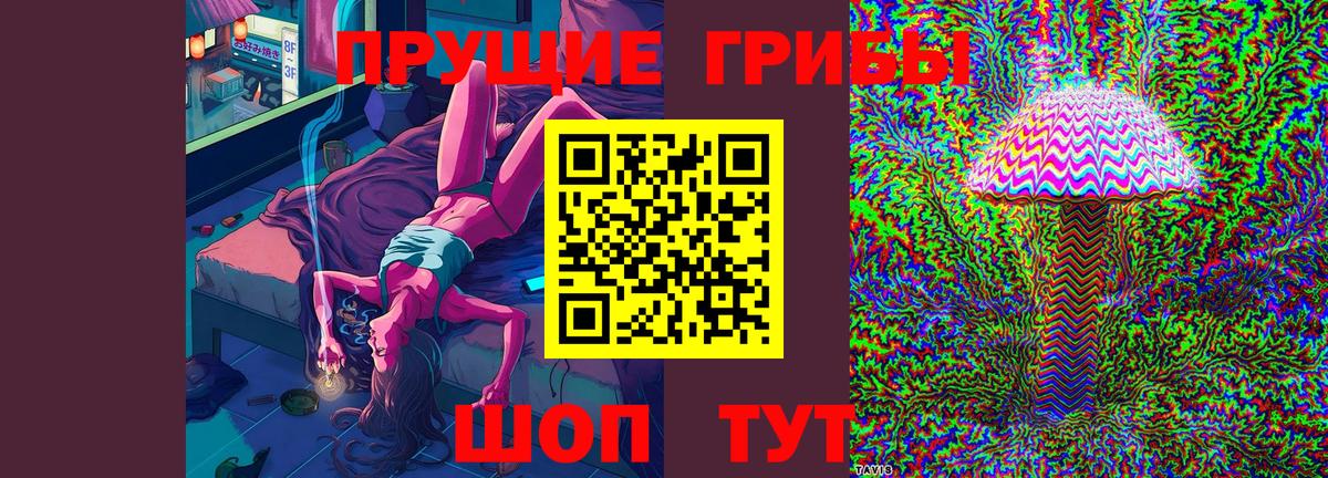 Псилоцибиновые грибы Psilocybine cubensis Стрежевой