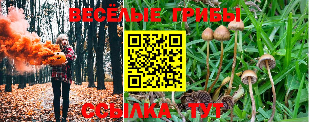 Стрежевой  Псилоцибиновые грибы прущие грибы  Вход с VPN 